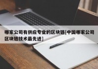 哪家公司有供应专业的区块链[中国哪家公司区块链技术最先进]